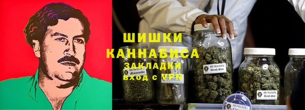 прущие грибы Алзамай
