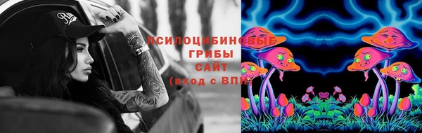 не бодяженный Алексин