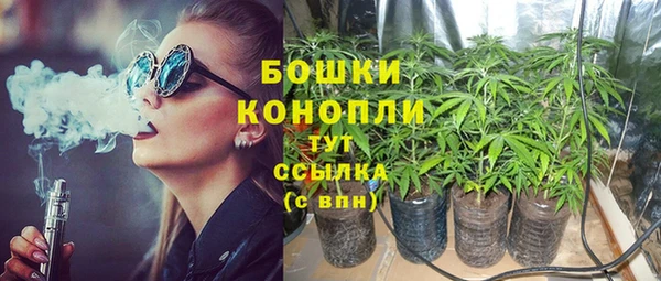 прущие грибы Алзамай