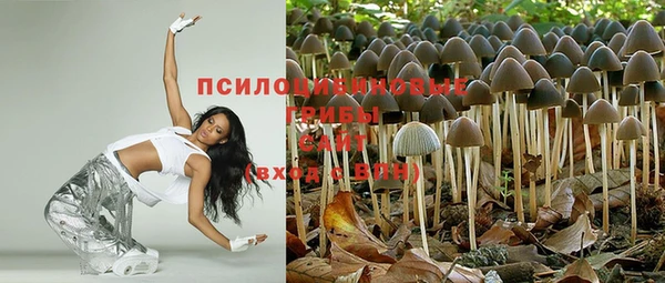 не бодяженный Алексин