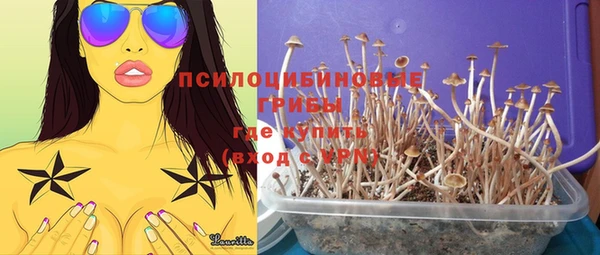гидропоника Арсеньев